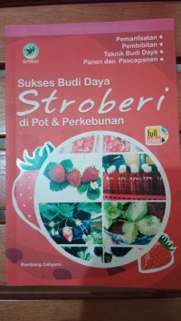 SUKSES BUDI DAYA STROBERI DI POT & PERKEBUNAN